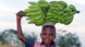 Majuca vende plátanos en Kenge