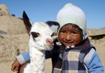 Bolivia y Perú. Los Hijos del Sol.