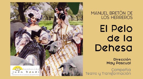 21/11/2025 Evento solidario en Madrid: mercadillo y comedia