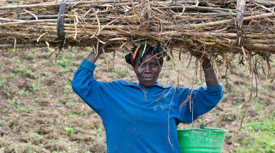 20/02/2017 Avanza el proyecto estratégico en Ruanda: una iniciativa multisectorial.