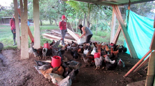 08/07/2020 El éxito del proyecto de Fundación Juan Bonal por la mujer en el Amazonas ya es una realidad