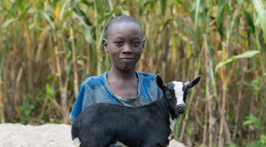 18/01/2021 Acción para el sostenimiento del medio rural en Ruanda